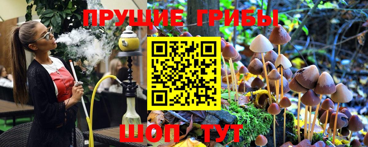 Галлюциногенные грибы Psilocybine cubensis  Вход с VPN  Галлюциногенные грибы Magic Shrooms  Лыткарино 